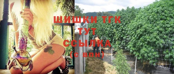 гидра Балахна
