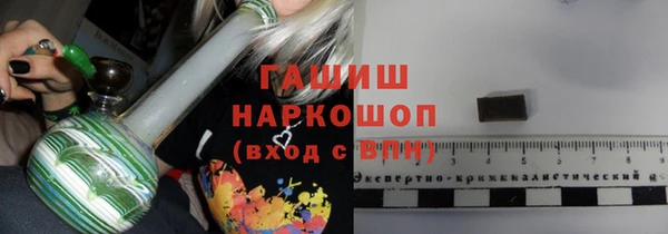 прущие грибы Инта