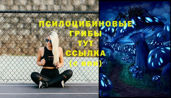 гидра Балахна