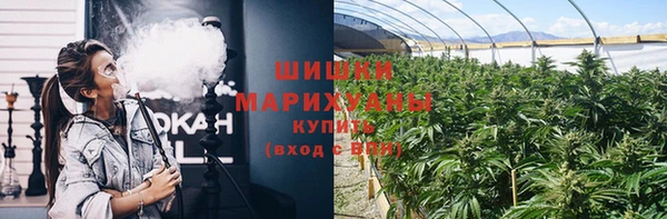 гидра Балахна